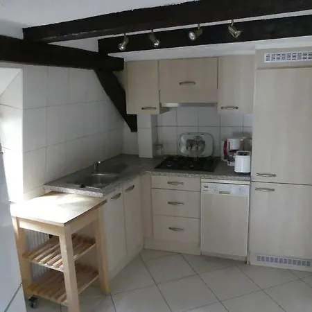 Apartment Chaleureux Colmar
