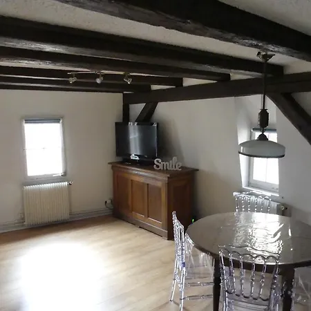 Chaleureux Appartement Colmar