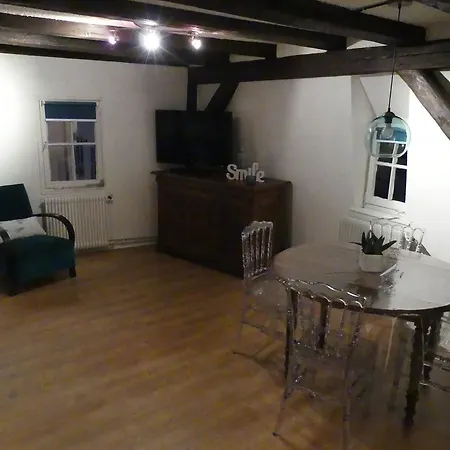 Apartment Chaleureux Colmar