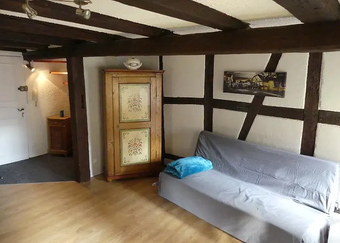 Apartamento Chaleureux Colmar